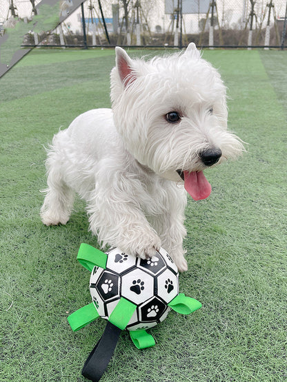 Lovely Paw Football Dog Toy
