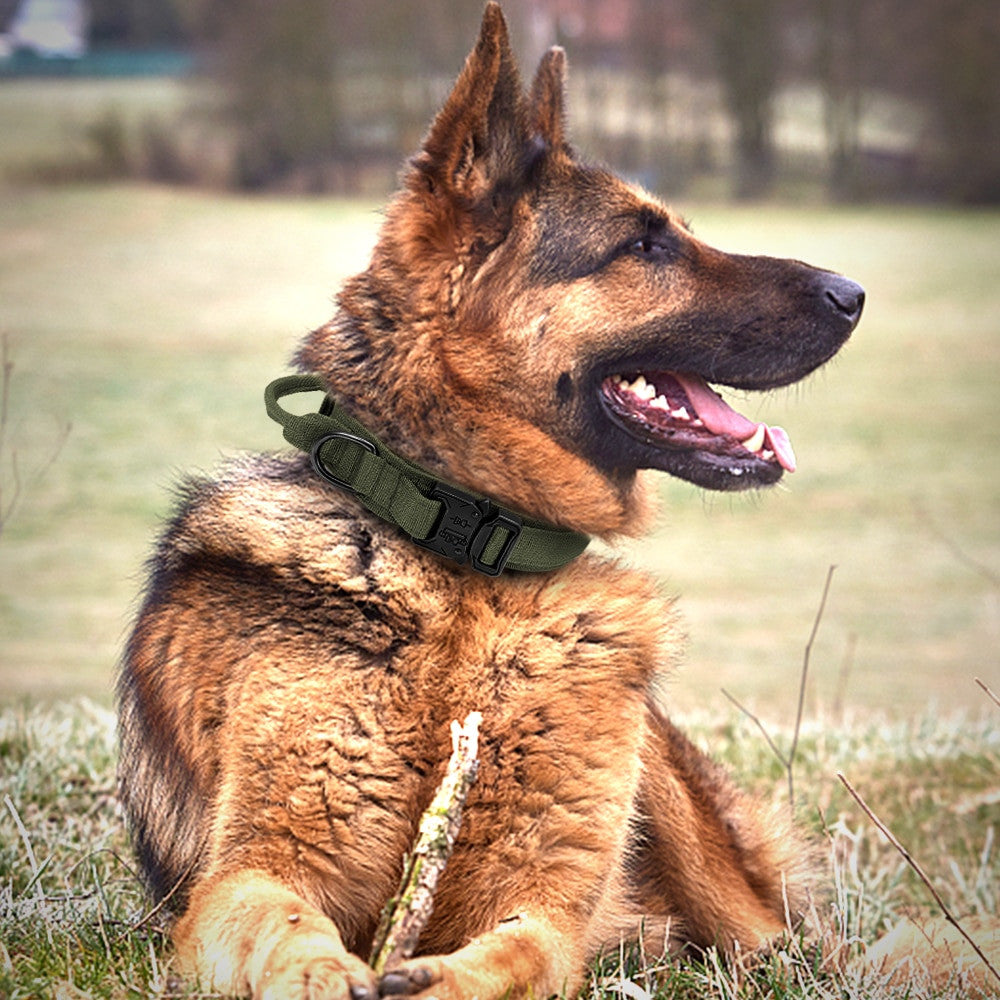Tactical Dog Collar